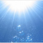Water and sun resistant printed clothing labels